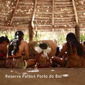 Reserva pataxó porto do boi