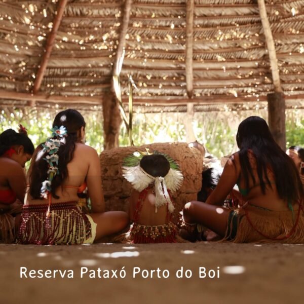 Reserva pataxó porto do boi