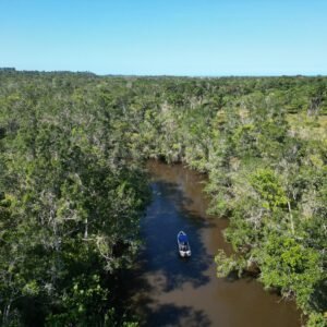 Passeio Ecológico no rio caraíva