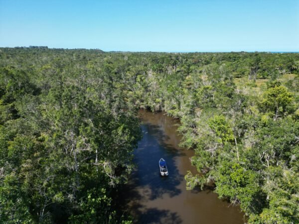 Passeio Ecológico no rio caraíva